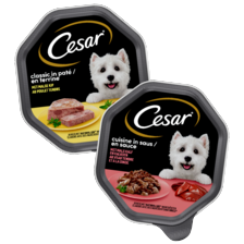 Cesar classic of cuisine